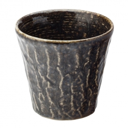 POTS