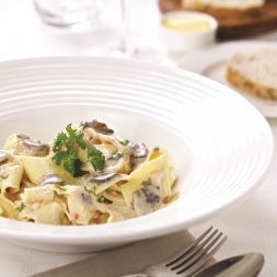 ANTON BLACK FINE CHINA